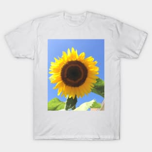 Sunflower & Blue Skies T-Shirt